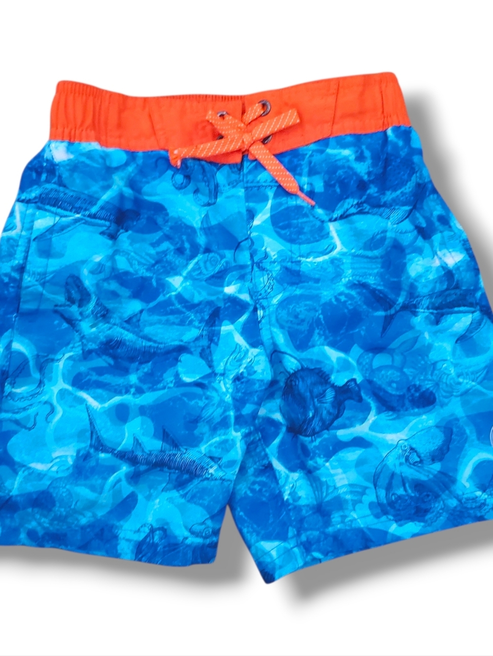 Boys ZeroXposur Shark Swim Trunks Shorts Blue Orange Xs 5 6 5/6
